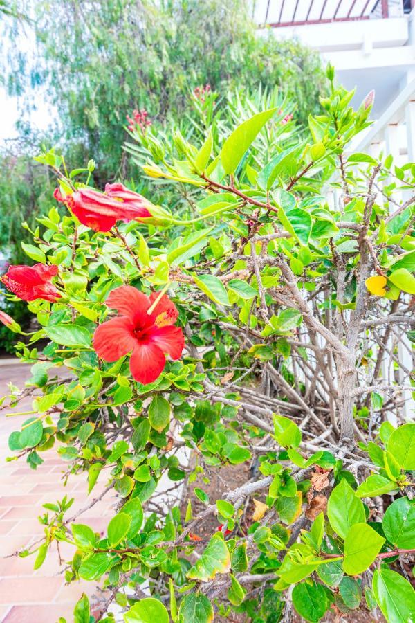 Vivienda Vacacional Serendipity Costa Teguise Zewnętrze zdjęcie